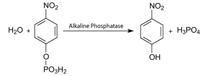 TMB solutions for ELISA